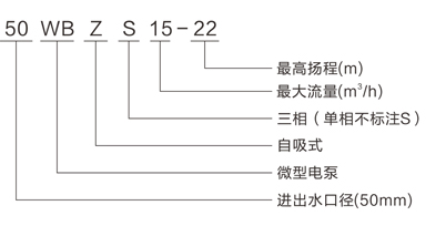 WBZS系列不锈钢自吸式耐腐蚀电泵