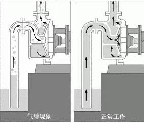 造成离心泵的气缚与气蚀现象的原因及预防措施